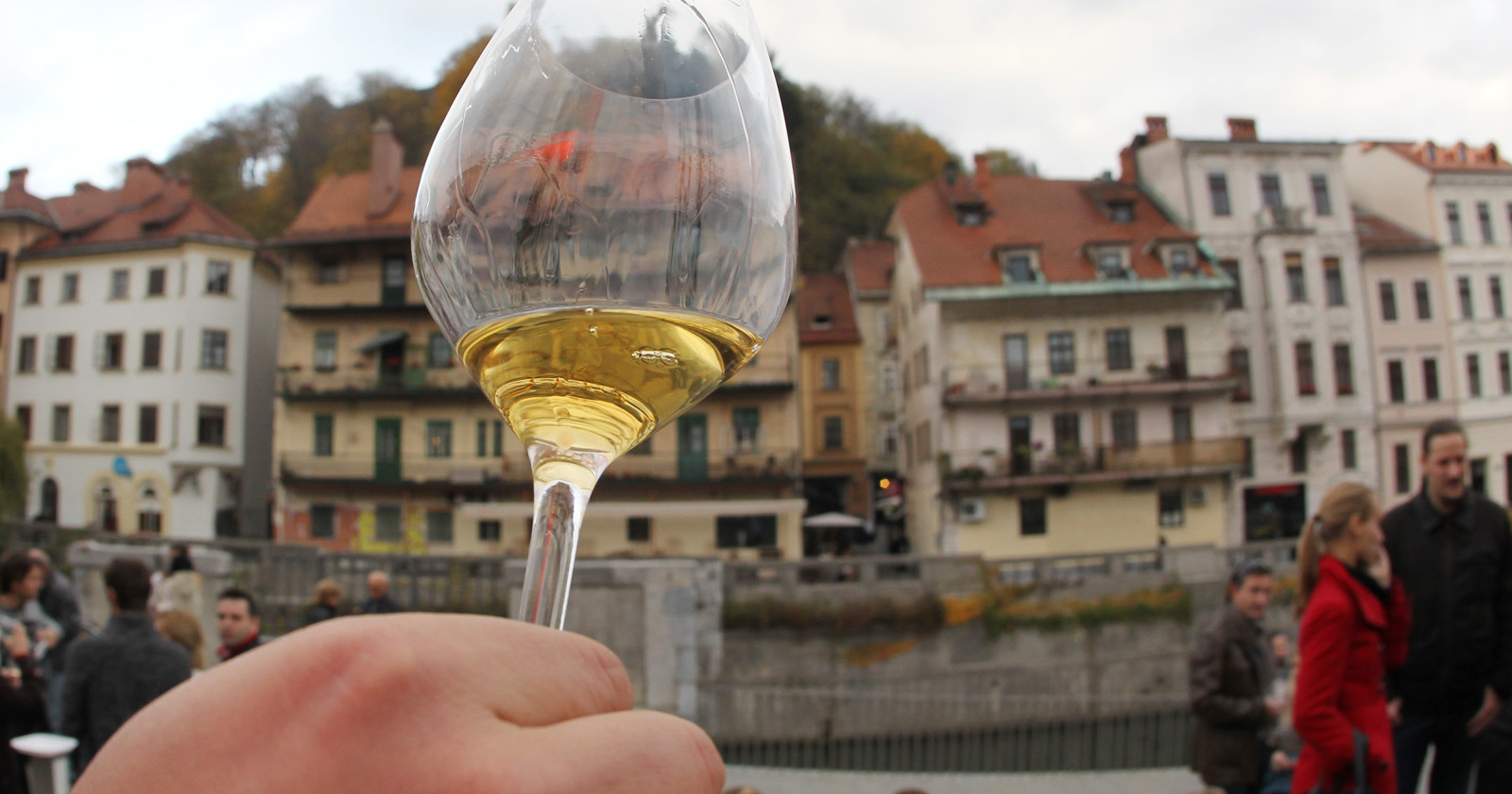 Ljubljanska vinska pot