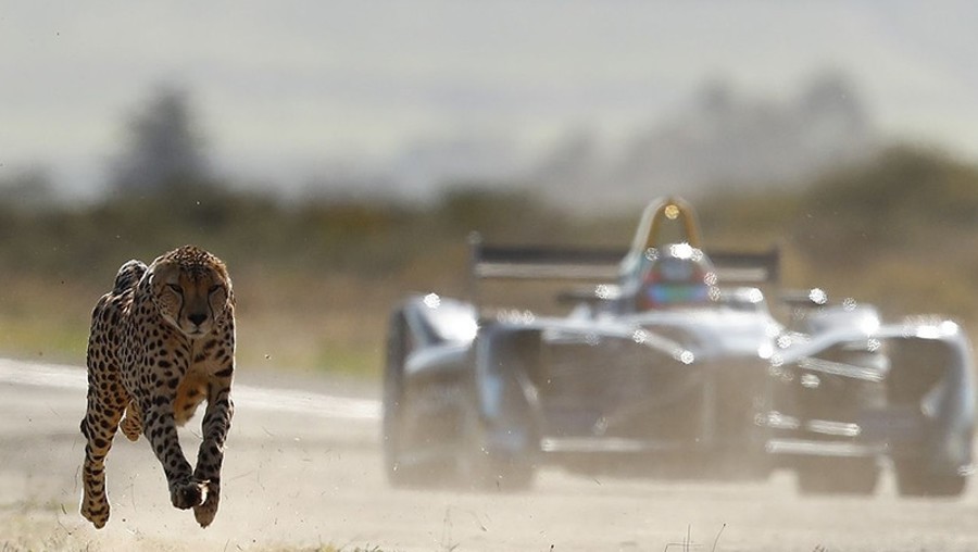 Gepard proti formuli