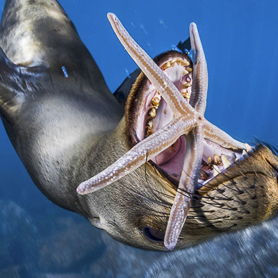 Foto: National Geographic