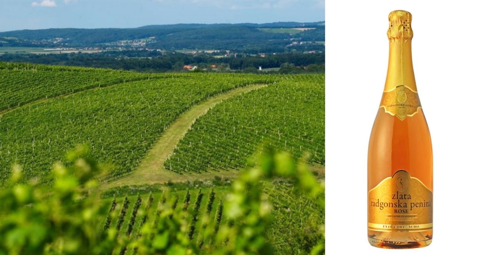 Svetovni šampion iz Radgonskih goric