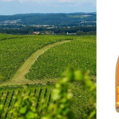 Svetovni šampion iz Radgonskih goric