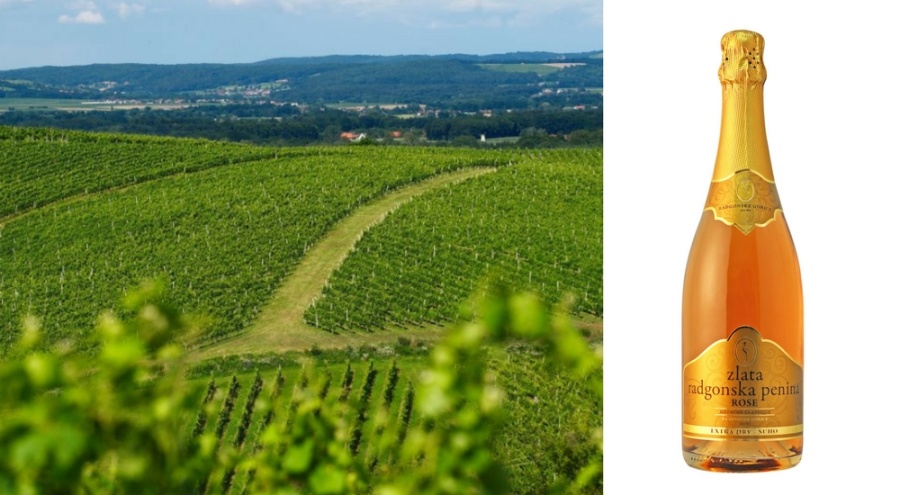 Svetovni šampion iz Radgonskih goric