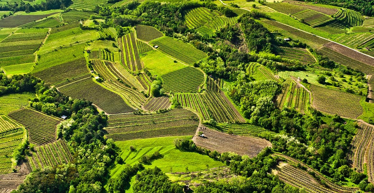 Foto: I feel Slovenia