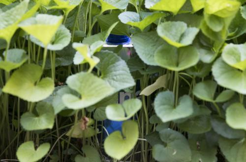 Tetra Pak® in Dana 1530531169213