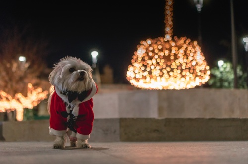 Unsplash 1542616270993