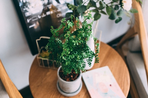 Foto: Unsplash 1541254036747