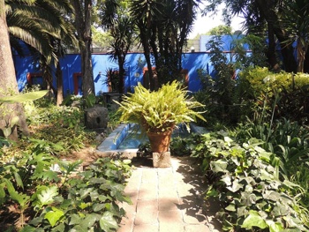 Foto: FB/Museo Frida Kahlo