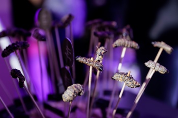 Oblikovalska okuševalnica 2018.