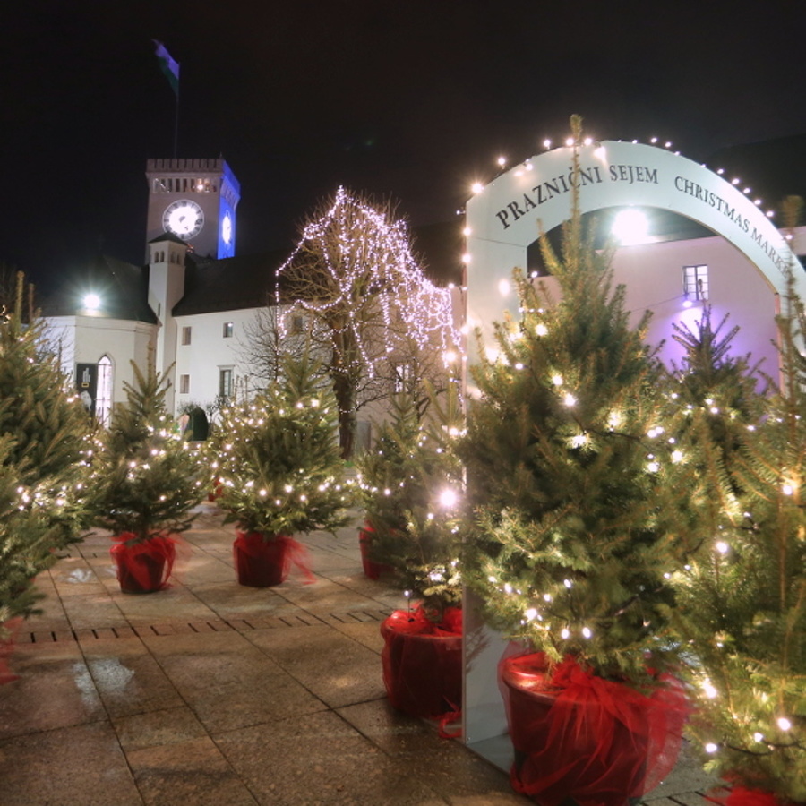 600pxgr.-december-2018-low-res-foto-miha-mally-49.jpg