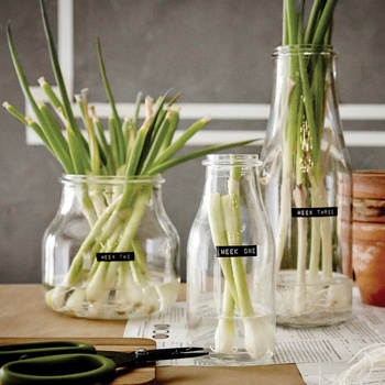 IKEA lagom. Foto: IKEA