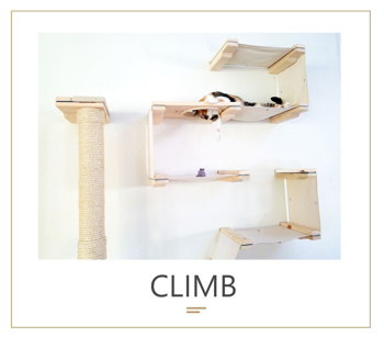 Foto: Catastrophic creations