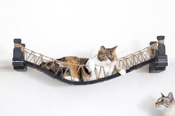 Foto: Catastrophic creations