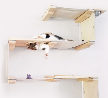 Foto: Catastrophic creations