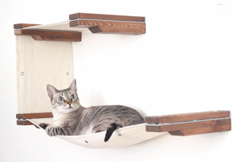 Foto: Catastrophic creations