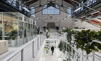 Wing Zrt. - Budimpešta