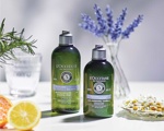 L’OCCITANE - Eterična olja za ohranjanje ravnovesja las