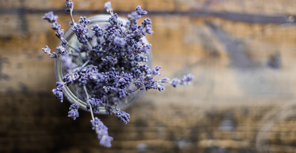 Sivka. Foto: Unsplah