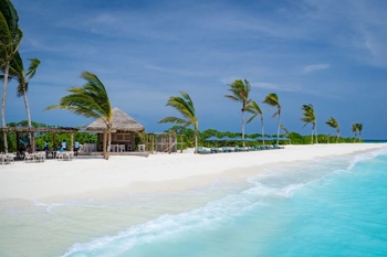 Foto: Fish & Crab Shack, Maldivi. Foto: finolhu.com