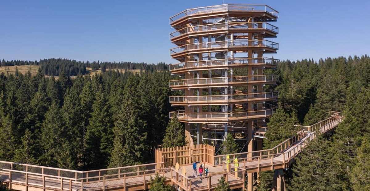 Foto: Pot med krošnjami Pohorje