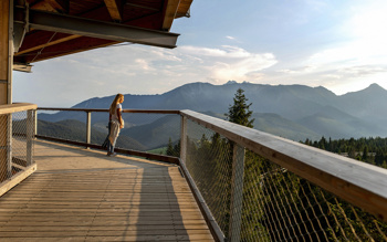 Foto: Pot med krošnjami Pohorje