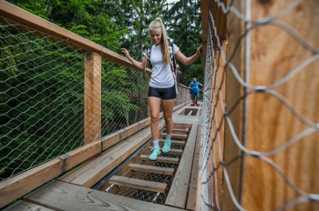 Foto: Pot med krošnjami Pohorje
