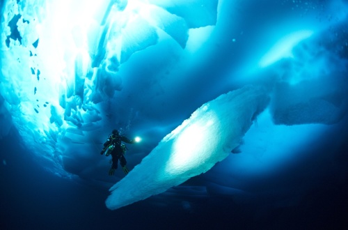 Ledena modrina 1577192170925