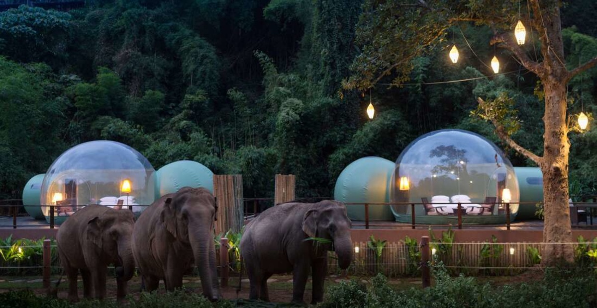 Anantara Golden Triangle Elephant Camp & Resort