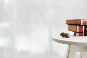 Forest glamping resort Blaguš. Foto: charmingslovenia.com