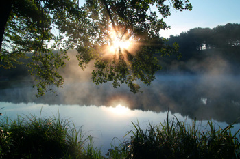 Forest glamping resort Blaguš. Foto: charmingslovenia.com