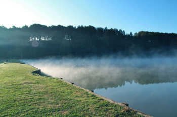 Forest glamping resort Blaguš. Foto: charmingslovenia.com