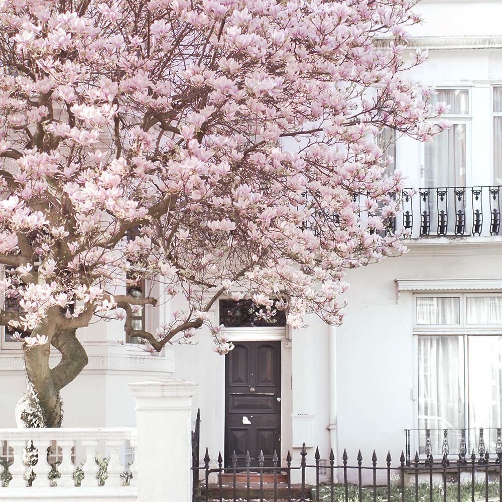 london in bloom