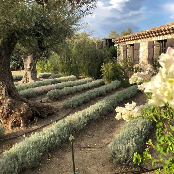 Foto: tripadvisor.com