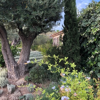 Foto: tripadvisor.com