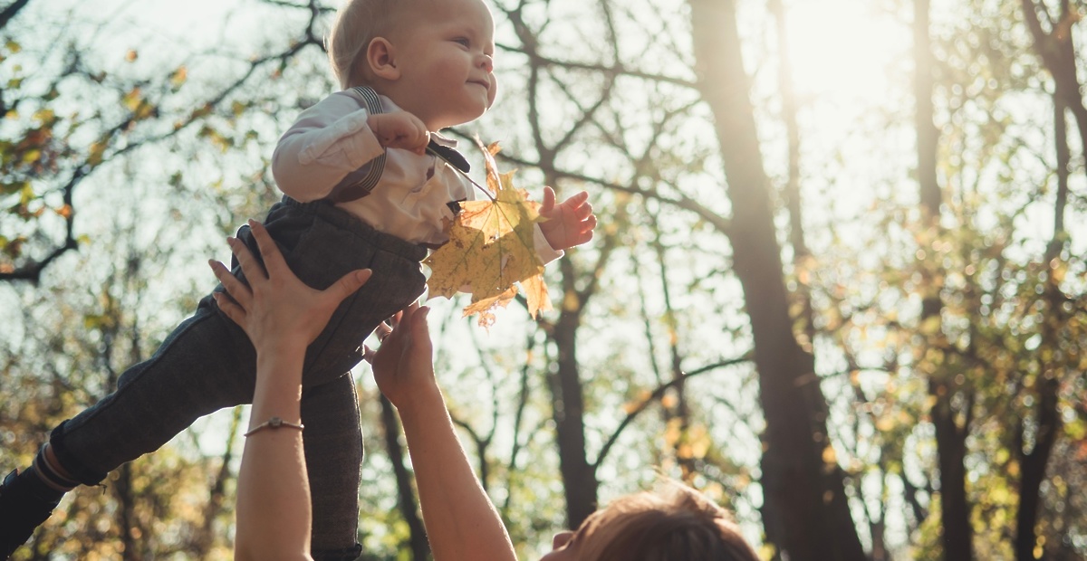 posadidrevo-unsplash