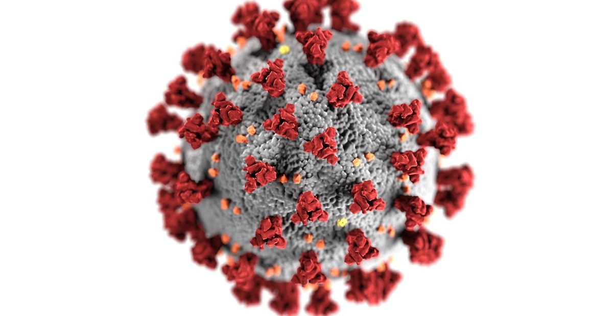 pexels-photo-3992933