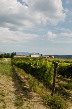 Foto: castlebelaj.com