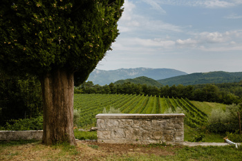 Foto: castlebelaj.com