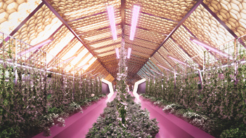 Foto: ABIBOO Studio / SONet 