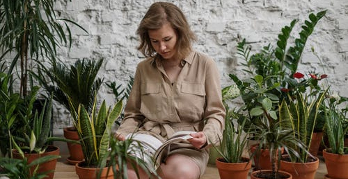 pexels-photo-4503732_1