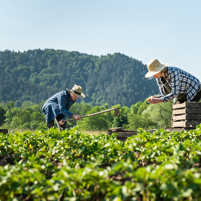 ohranimo-domačeizbirajmo-lokalno1
