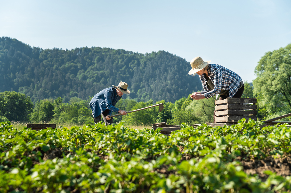 ohranimo-domačeizbirajmo-lokalno1