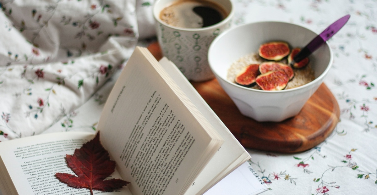 alena-ganzhela-xefb4vjjqi-unsplash