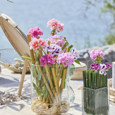 ideje-za-dekoracije-ki-vključujejo-rezane-pelargonije100