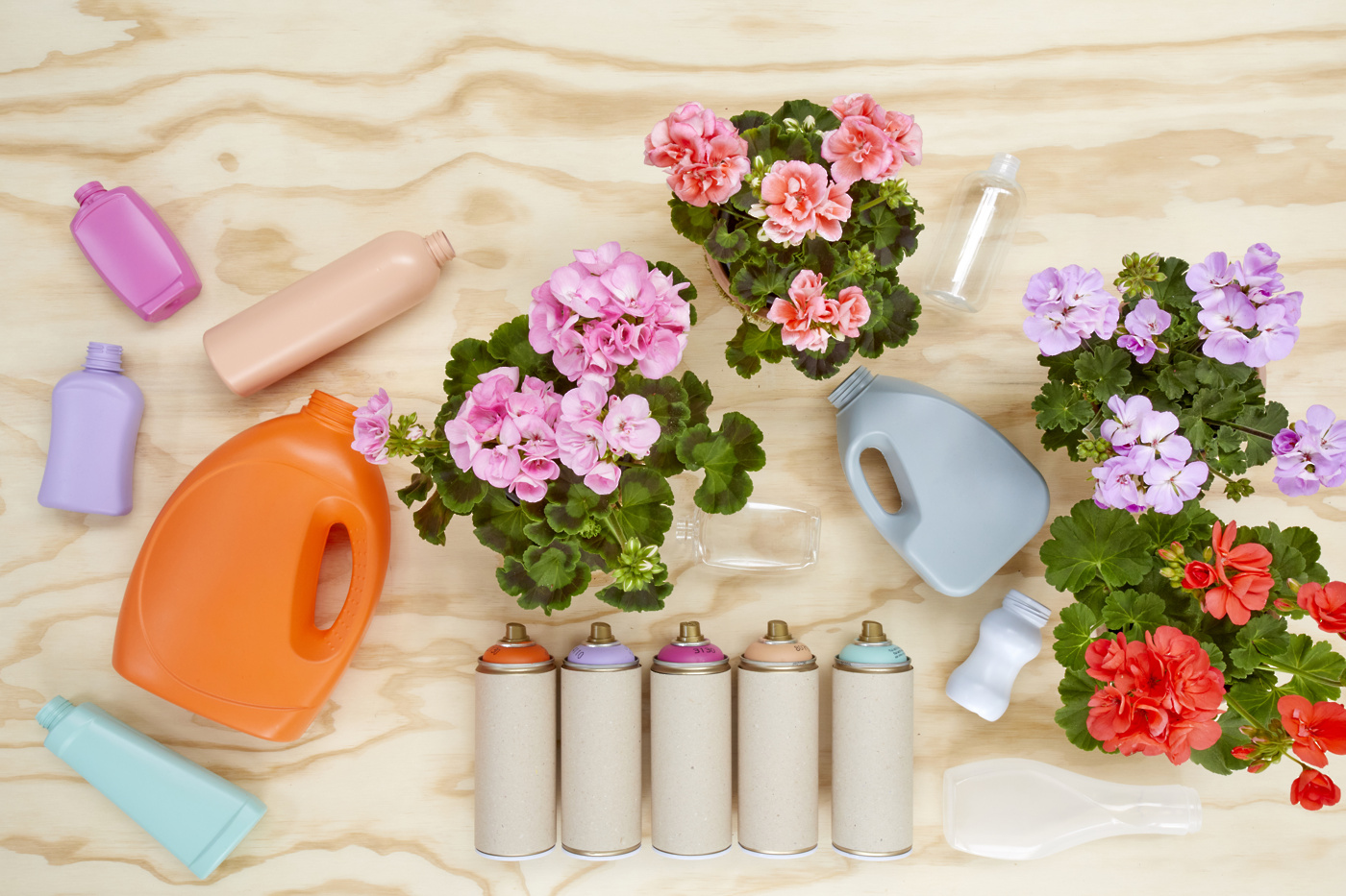 2023geraniums5010diypainteddetergentbottles01