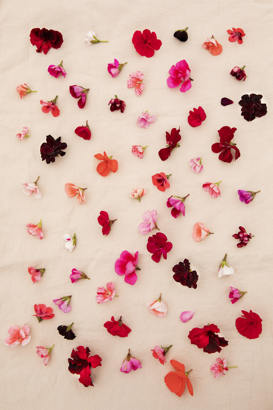 ideje za dekoracije ki vključujejo rezane pelargonije101