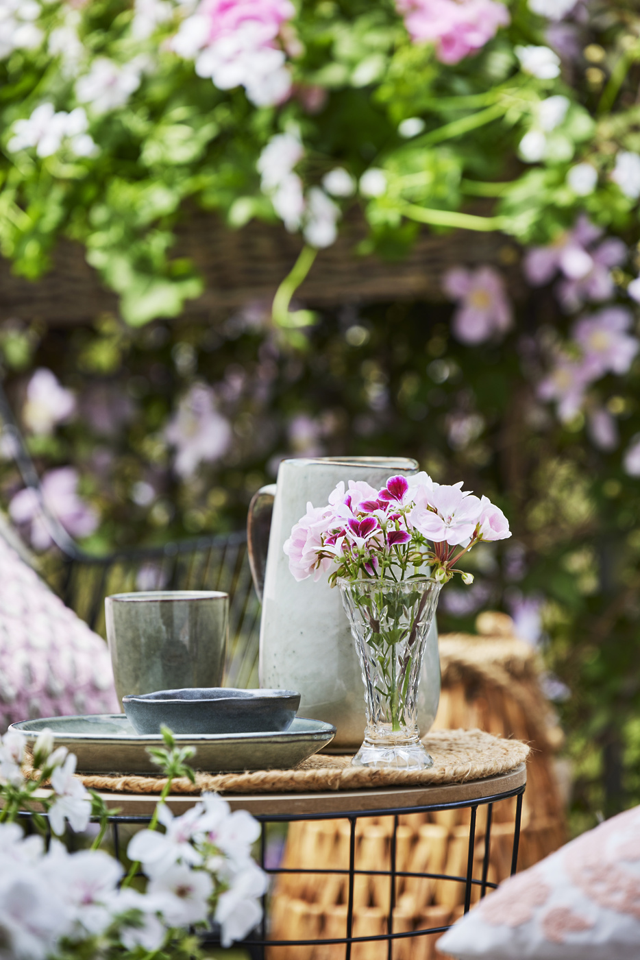 kako pravilno odrezati pelargonije