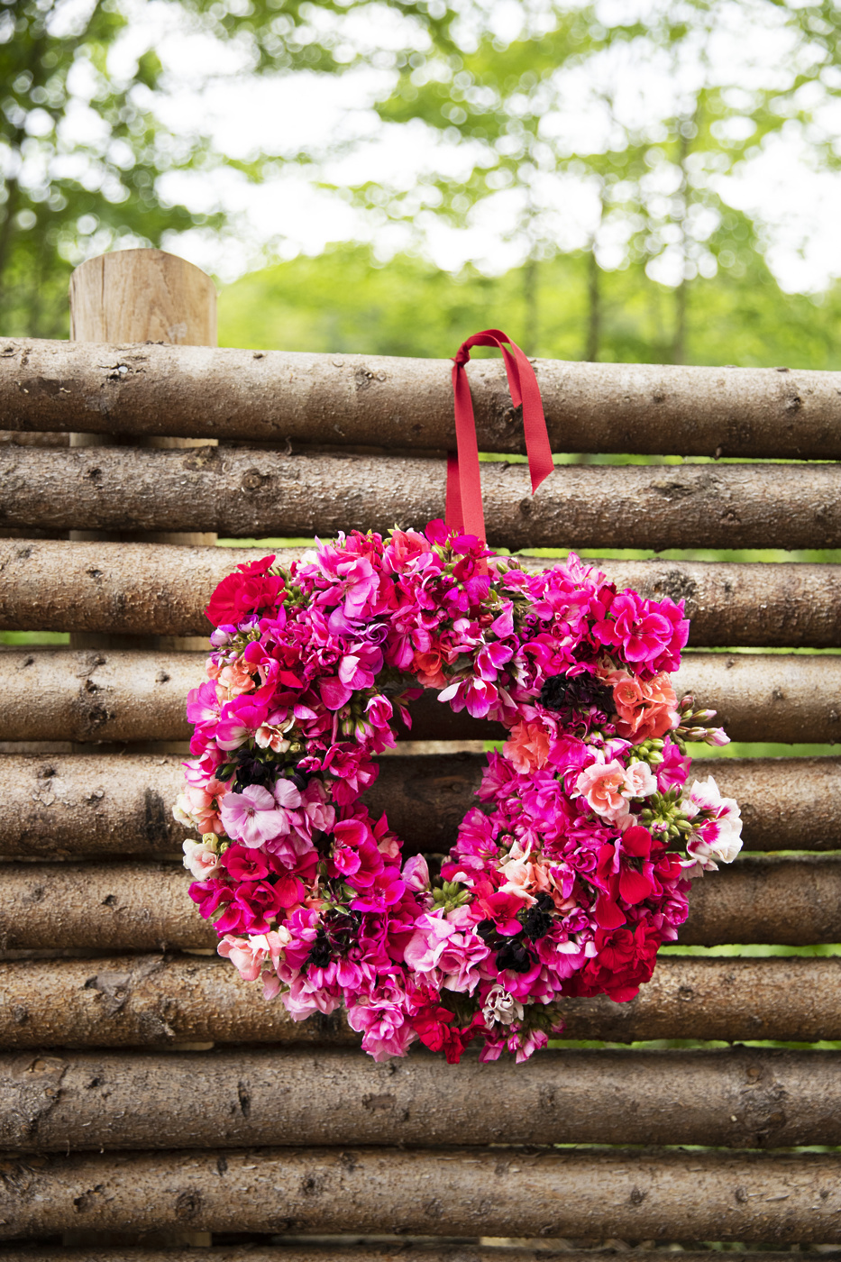 poletni aranžmaji s pelargonijami100