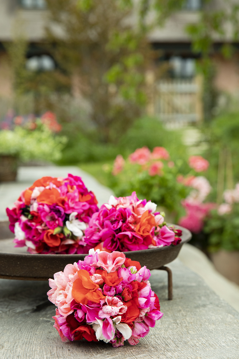 poletni aranžmaji s pelargonijami101