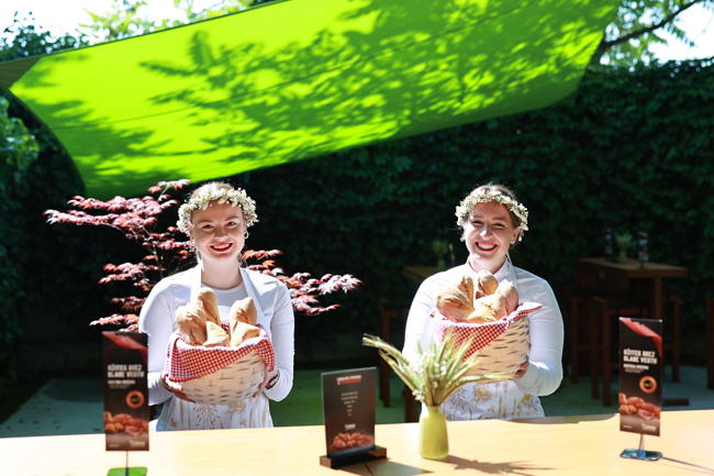 Koruzni Drožnik zvezda Žitovega urbanega piknika