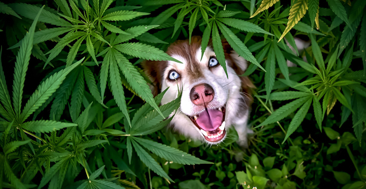 11.-corinna-mooserso-this-is-the-source-of-happiness